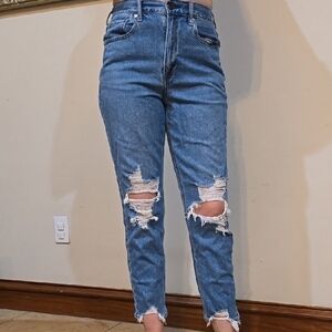 Womens American Eagle Mom Distressed Cropped Jeans Size 6